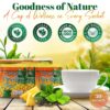 Pinalim Te De Pina Gn+vida USA Pinalim Pineapple Tea Extra Strength (1-Pack)