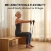 VEICK Resistance Bands, Exercise Bands, Workout Bands, Resistance Bands for Working Out with Handles for Men and Women, Exercising Bands for Fitness Weights Work Out at Home