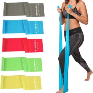 5 Pcs Professional Resistance Bands. Latex-Free, Pilates Band, Work Out Bands, Stretch Bands for Working Out Women or Men, Exercise Bands Set for Pilates, Physical Therapy, Yoga