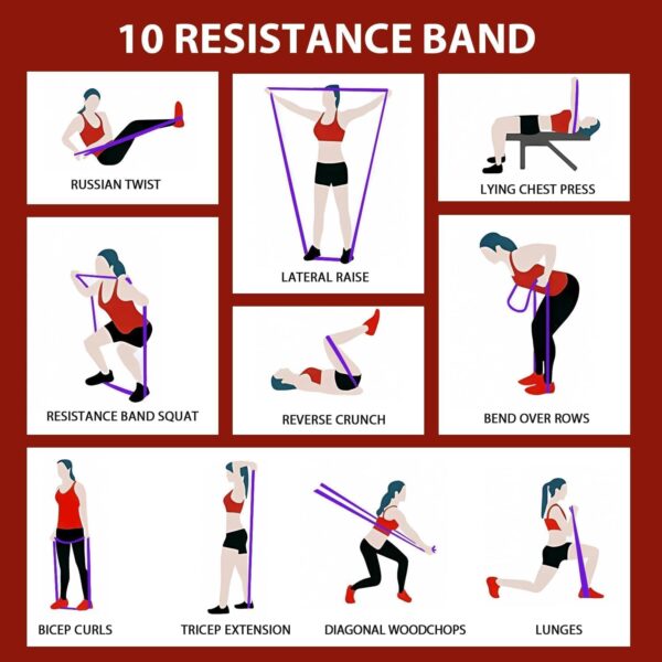LEEKEY Resistance Bands for Working Out, Exercise Bands with Door Anchor,Pull Up Assistance Bands for Men and Women- Strength Bands for Fitness Training, Physical Therapy,Home Workouts