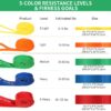 Resistance Bands, Pull Up Bands, Workout Bands for Exercise, Thick Heavy Resistance Band Set with Door Anchor, Elastic Bands for Body Stretching, Training at Home/Gym for Men & Women
