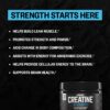 ONNIT Creatine Monohydrate Powder, IGEN(TM) Non-GMO Tested 5g Premium Creatine for Muscle Strength, Power and Lean Mass, Supports Brain Health, Brain Cellular Energy, Unflavored, 30 Servings, 5.29 oz