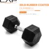 CAP Barbell Coated Hex Dumbbell Weight - Single | 10-120 lbs | Multiple Options