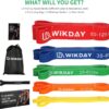 Resistance Bands, Pull Up Bands, Workout Bands for Exercise, Thick Heavy Resistance Band Set with Door Anchor, Elastic Bands for Body Stretching, Training at Home/Gym for Men & Women