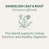 Traditional Medicinals Organic, Dandelion Leaf & Root - Dandelion Root Tea, Supports Normal Detox + Digestion - Kosher, Non-GMO, Caffeine-Free, Compostable - 16 Tea Bags