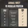 Animal 100% Whey Protein Powder – Whey Blend for Pre Workout or Post Workout, Recovery, or an Anytime Low Sugar Protein Boost Meal Replacement with BCAA Branched Chain Amino Acids – Chocolate, 4 lb