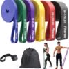 Resistance Bands Set - Pull Up Bands for Men Women, Exercise Bands Resistance with Door Anchor, Training Poster & Pouch for Body Stretching, Pull Up Assist