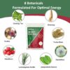Detox Tea 28 Count, Natural Herbal Tea with Oolong & Green Tea Extract, Yerba Mate & Ginseng – Supports Balanced Diet & Metabolism Boost – Vegan, Gluten-Free, No Artificial Flavors