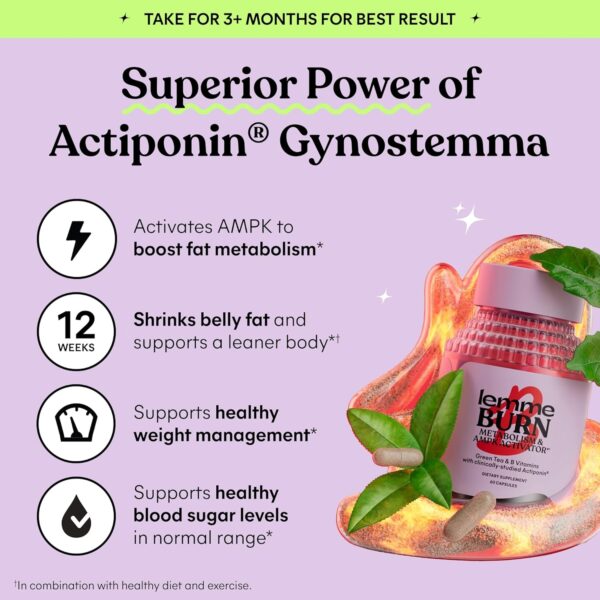 Lemme Burn - Metabolism, Belly Fat Burning + AMPK Activating Supplement for Men & Women w/Clinically Studied Actiponin Gynostemma, Green Tea Extract, Vitamins B6 & B12 - Gluten Free, 60 Count