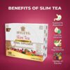 HYLEYS Slim Tea 9 Flavor Assortment 100 Ct - Weight Loss Herbal Supplement Cleanse and Detox - 100 Tea Bags (1 Pack) - Herbal Tea Variety Pack
