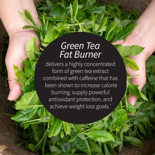 Applied Nutrition Green Tea Fat Burner - 90 Liquid Soft-Gels, Pack of 2 - Increases Calorie Burning & Supplies Powerful Antioxidants - 90 Total Servings