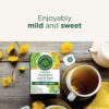 Traditional Medicinals Organic, Dandelion Leaf & Root - Dandelion Root Tea, Supports Normal Detox + Digestion - Kosher, Non-GMO, Caffeine-Free, Compostable - 16 Tea Bags