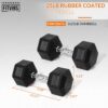 Fitvids Hex Dumbbells Rubber Coated Hand Weights for Exercises and Fitness Home Gym, 5-50 LB Pair