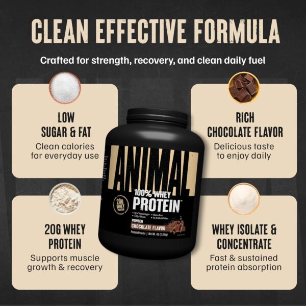 Animal 100% Whey Protein Powder – Whey Blend for Pre Workout or Post Workout, Recovery, or an Anytime Low Sugar Protein Boost Meal Replacement with BCAA Branched Chain Amino Acids – Chocolate, 4 lb