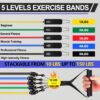Resistance Bands,Exercise Bands,Resistance Bands for Working Out with Handles for Men and Women,Workout Bands with Door Anchor and Ankle,Strength Training Home Gym Equipment