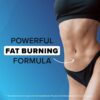 Night Time Fat Burner for Weight Loss Support & Sleep Aid | Appetite Suppressant, Carb Blocker, Nighttime Metabolism Booster for Stomach Fat Burner & Night Shred with Melatonin | Non-GMO, Vegan 60ct