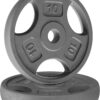 Yes4All Standard 1-Inch Grip Weight Plates, Cast Iron with Multiple Sizes from 2.5 lb to 35 lb for Strength Training, Weightlifting & Muscle Toning