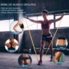 5 Pcs Professional Resistance Bands. Latex-Free, Pilates Band, Work Out Bands, Stretch Bands for Working Out Women or Men, Exercise Bands Set for Pilates, Physical Therapy, Yoga