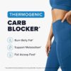 Night Time Fat Burner for Weight Loss Support & Sleep Aid | Appetite Suppressant, Carb Blocker, Nighttime Metabolism Booster for Stomach Fat Burner & Night Shred with Melatonin | Non-GMO, Vegan 60ct
