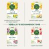 Traditional Medicinals Tea, Organic Everyday Detox Lemon, Supports Healthy Skin & Liver Function, Detox, 16 Tea Bags