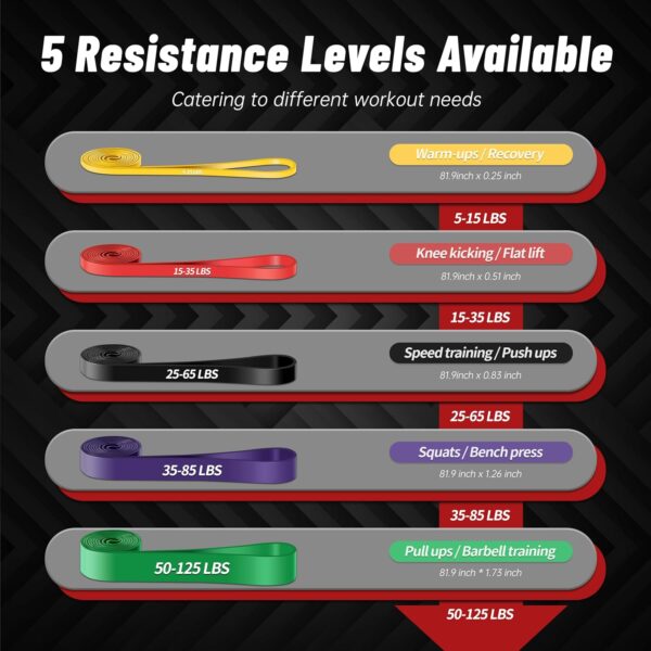Pull Up Assistance Bands, 5-Level Resistance Bands for Working Out, Pull Up Bands for Men & Women, Exercise Bands for Full-Body Training, Fitness, Physical Therapy, Stretch Workout Bands at Home, Gym