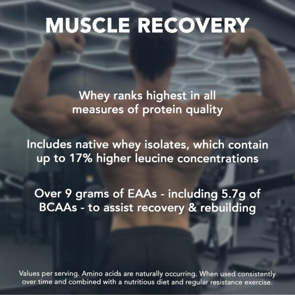 RIVAL NUTRITION Clean Rival Whey Pure Chocolate Protein Powder I 5.02 Lb, 68 Servings I Natural Flavors, No Artificial Colors I 25g Protein, 5.7g BCAAs Per Scoop I Muscle Recovery, Active Lifestyles