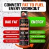 ALPHA LION Burn2O L-Carnitine Liquid 2000mg, Premium Liquid Fat Burner & Pre-Workout Supplement for Men & Women - Natural Energy & Metabolism Booster for Weight Loss - ShredBerry