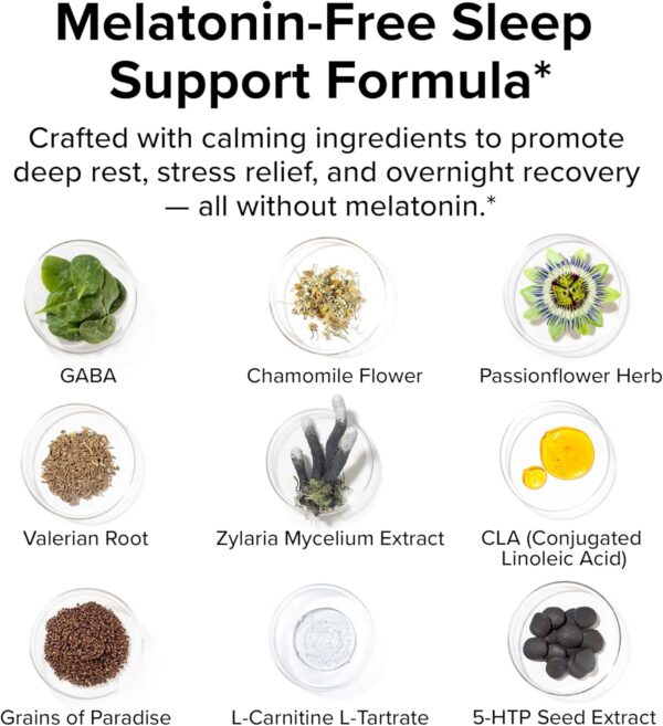 Night Shred Black Melatonin-Free Nighttime Fat Burner and Sleep Support Supplement - GABA Complex with Ashwagandha, CLA, Grains of Paradise, and Zylaria - Thermogenic Fat Burner - 90 Vegan Capsules
