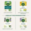 Traditional Medicinals Organic Smooth Move Laxative Tea, 16 Tea Bags (Pack of 1)