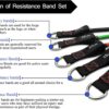 91HWBFu7sDL._AC_SL1500_.jpg TheFitLife Exercise Resistance Bands with Handles - 5 Fitness Workout Bands Stackable up to 110/150/200/250/300 lbs, Training Tubes with Large Handles, Ankle Straps, Door Anchor, Carry Bag