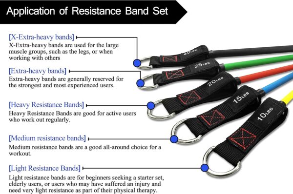 91HWBFu7sDL._AC_SL1500_.jpg TheFitLife Exercise Resistance Bands with Handles - 5 Fitness Workout Bands Stackable up to 110/150/200/250/300 lbs, Training Tubes with Large Handles, Ankle Straps, Door Anchor, Carry Bag